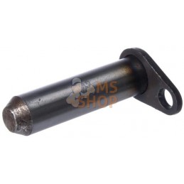 Pivot W.A. | JCB Pivot W.A. | JCBPR#924669