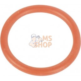 Gasket | GOLDONI Gasket | GOLDONIPR#1089841
