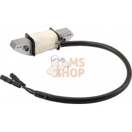 Bobine de charge 12V/3 A | HONDA Bobine de charge 12V/3 A | HONDAPR#164650