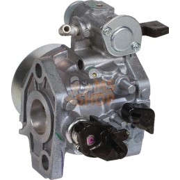 Carburateur GX240 | HONDA Carburateur GX240 | HONDAPR#34129