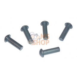 Paquet de rivets 0,5 kg 6x20 | KRAMP Paquet de rivets 0,5 kg 6x20 | KRAMPPR#649245