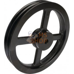 Poulie pour courroie trapézoïdale 2 rainures B ou SPB diamètre 307 mm Kramp | KRAMP Poulie pour courroie trapézoïdale 2 rainures
