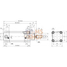 Vérin standard | KRAMP Vérin standard | KRAMPPR#981445