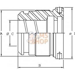 Culasse C25 alésage 50 tige 25 250 bar | KRAMP Culasse C25 alésage 50 tige 25 250 bar | KRAMPPR#564957