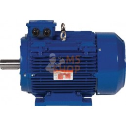 Moteur électrique 5,5 kW | KRAMP Moteur électrique 5,5 kW | KRAMPPR#596480