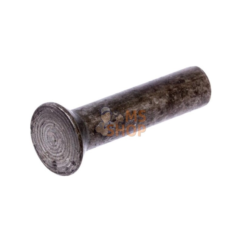 Paquet de rivets 0,5 kg 5x22 | KRAMP Paquet de rivets 0,5 kg 5x22 | KRAMPPR#649549 Paquet de rivets 0,5 kg 5x22 | KRAMP Paquet de rivets 0,5 kg 5x22 | KRAMPPR#649549