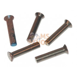 Paquet de rivets 0,5 kg 6x23 | KRAMP Paquet de rivets 0,5 kg 6x23 | KRAMPPR#649646