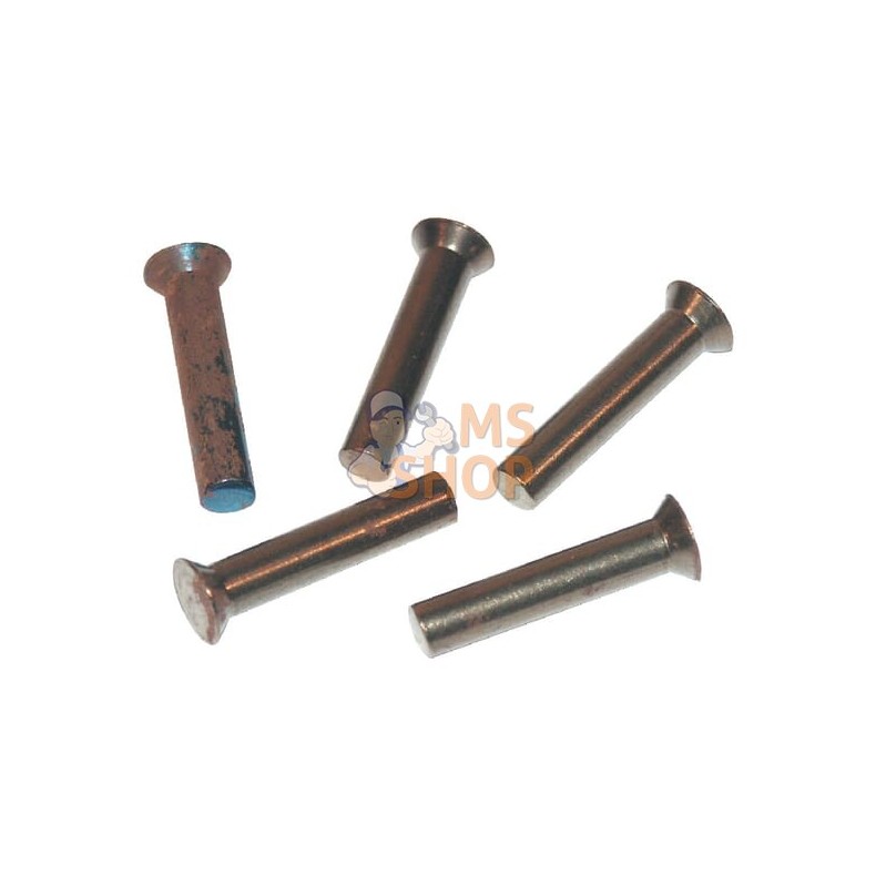 Paquet de rivets 0,5 kg 6x23 | KRAMP Paquet de rivets 0,5 kg 6x23 | KRAMPPR#649646