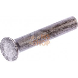 Paquet de rivets 0,5 kg 5x30 | KRAMP Paquet de rivets 0,5 kg 5x30 | KRAMPPR#649521