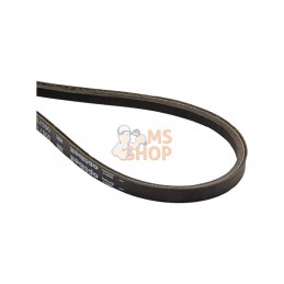 005717811; SOLO; Courroie 10x6x718; pièce detachée