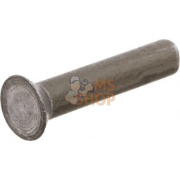 Paquet de rivets 0,5 kg 6x30 | KRAMP Paquet de rivets 0,5 kg 6x30 | KRAMPPR#649238