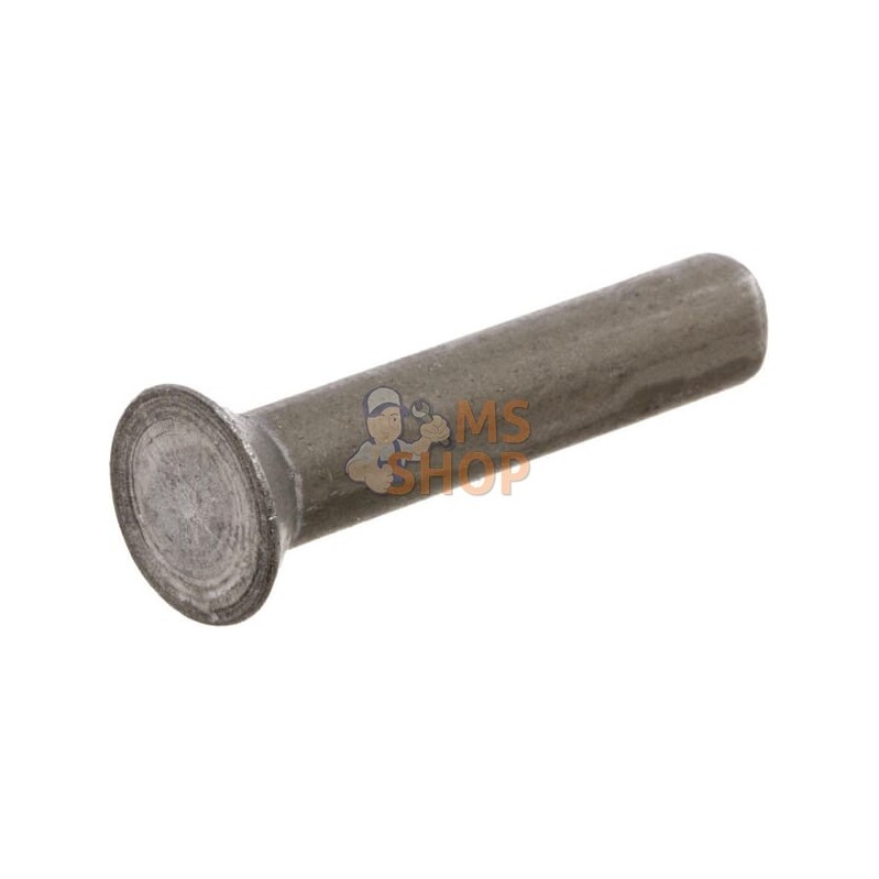 Paquet de rivets 0,5 kg 6x30 | KRAMP Paquet de rivets 0,5 kg 6x30 | KRAMPPR#649238