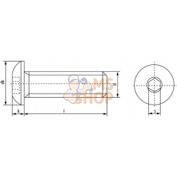 Vis tête bombée collet carré plate 6p creux M8x25 10.9 | KRAMP Vis tête bombée collet carré plate 6p creux M8x25 10.9 | KRAMPPR#