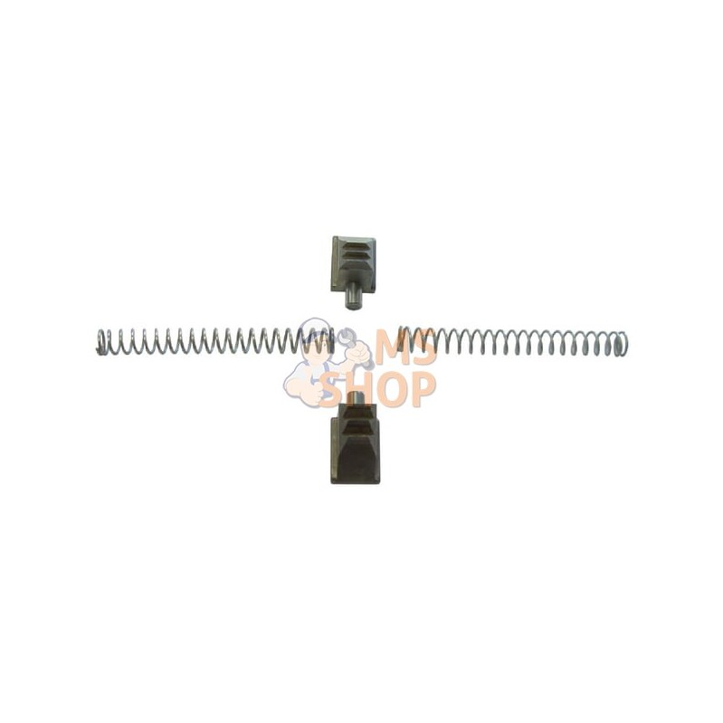 Kit 2 cliquets+ressorts speed | KRAMP Kit 2 cliquets+ressorts speed | KRAMPPR#882065 Kit 2 cliquets+ressorts speed | KRAMP Kit 2 cliquets+ressorts speed | KRAMPPR#882065
