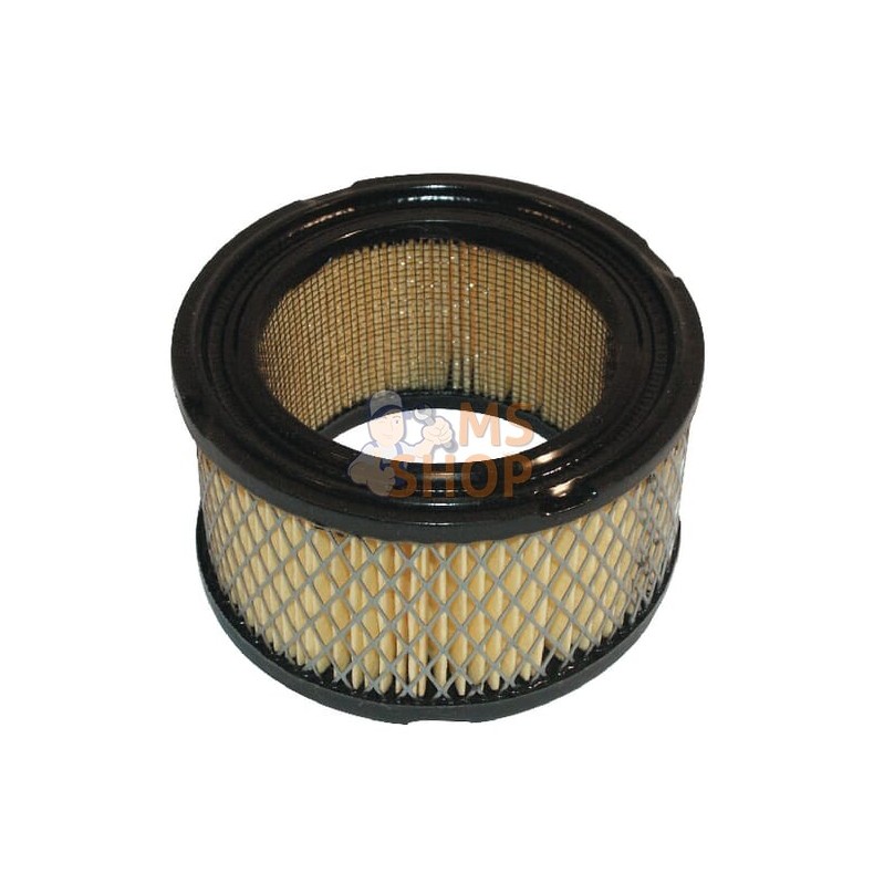 Filtre à air p/Tecumseh 31925 | KRAMP Filtre à air p/Tecumseh 31925 | KRAMPPR#882008 Filtre à air p/Tecumseh 31925 | KRAMP Filtre à air p/Tecumseh 31925 | KRAMPPR#882008