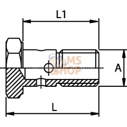 Vis creuse carburant M12x1,25 | KRAMP Vis creuse carburant M12x1,25 | KRAMPPR#462022