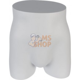 Bassin masculin sans torse ni jambes | KRAMP Bassin masculin sans torse ni jambes | KRAMPPR#730349