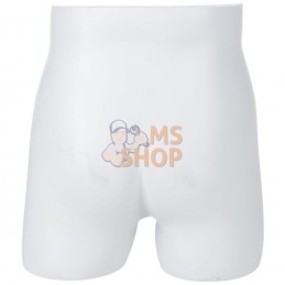 Bassin masculin sans torse ni jambes | KRAMP Bassin masculin sans torse ni jambes | KRAMPPR#730349