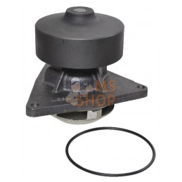 Pompe à eau CI | KRAMP Pompe à eau CI | KRAMPPR#699865