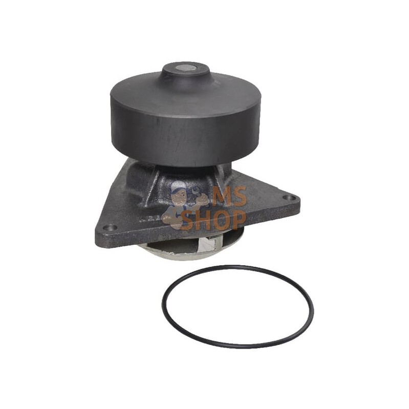 Pompe à eau CI | KRAMP Pompe à eau CI | KRAMPPR#699865