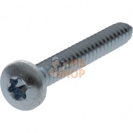 Vis auto perforatrice torx 6,3x50 mm  | KRAMP Vis auto perforatrice torx 6,3x50 mm  | KRAMPPR#1090164