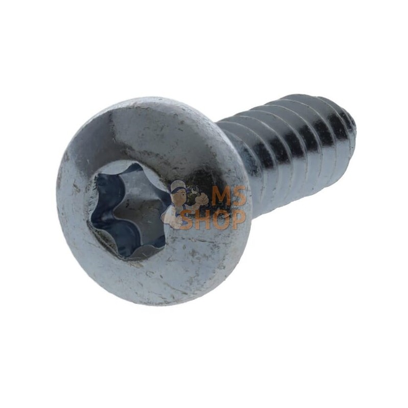 Vis auto perforatrice torx 6,3x19 mm  | KRAMP Vis auto perforatrice torx 6,3x19 mm  | KRAMPPR#1090167