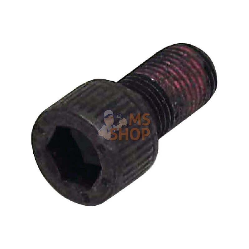 Vis autobloquante | KUHN Vis autobloquante | KUHNPR#475169