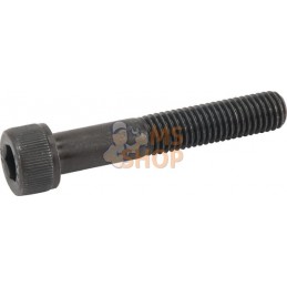 Vis à tête cylindrique | KVERNELAND Vis à tête cylindrique | KVERNELANDPR#395413