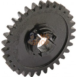 Pignon Z30 M-3 D20,1 | LEMKEN Pignon Z30 M-3 D20,1 | LEMKENPR#613090