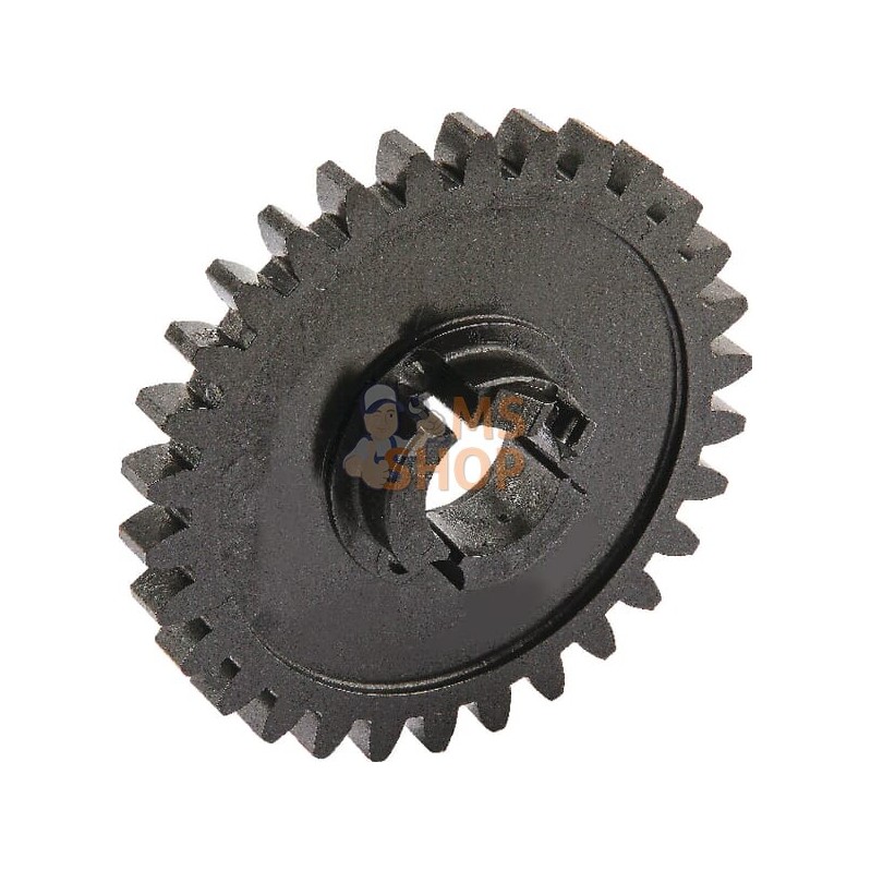 Pignon Z30 M-3 D20,1 | LEMKEN Pignon Z30 M-3 D20,1 | LEMKENPR#613090