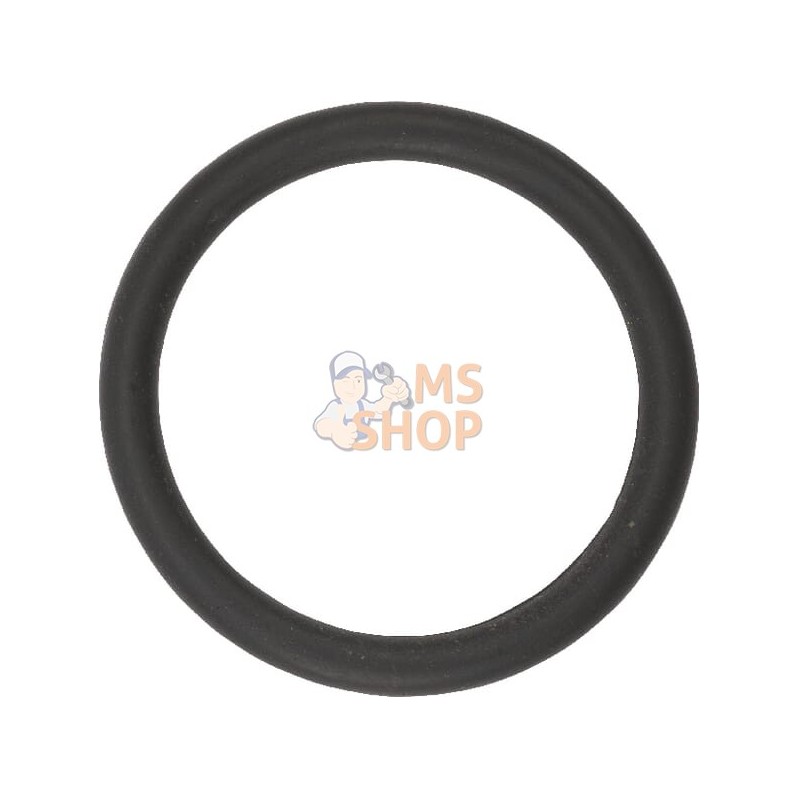 Joint torique 20x2,5 | LEMKEN Joint torique 20x2,5 | LEMKENPR#613251