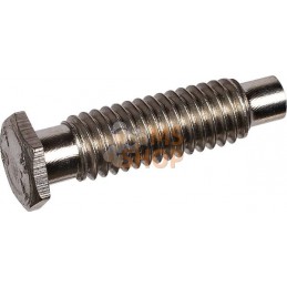 Boulon M6x22,5 Lemken | LEMKEN Boulon M6x22,5 Lemken | LEMKENPR#722302