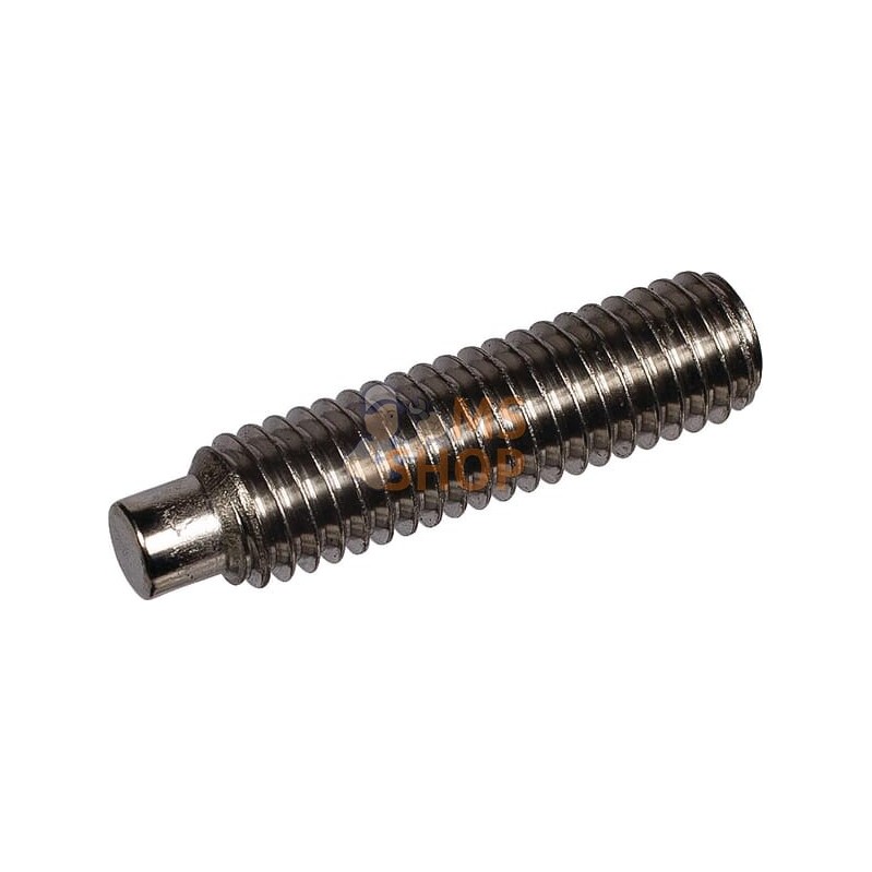 Goupille filetee 6x25 DIN915 | LEMKEN Goupille filetee 6x25 DIN915 | LEMKENPR#722301