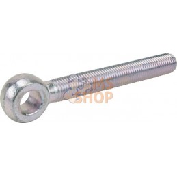 Vis à œillet WM16x130xb100-8,8 | LEMKEN Vis à œillet WM16x130xb100-8,8 | LEMKENPR#963608