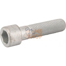 Vis à tête cylindr. M16x65-8.8 | LEMKEN Vis à tête cylindr. M16x65-8.8 | LEMKENPR#612758