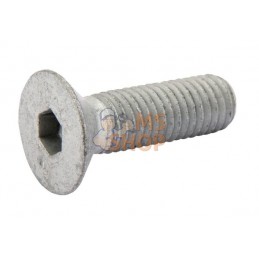Vis noyee din 7991 M 12X40 10. | LEMKEN Vis noyee din 7991 M 12X40 10. | LEMKENPR#612766