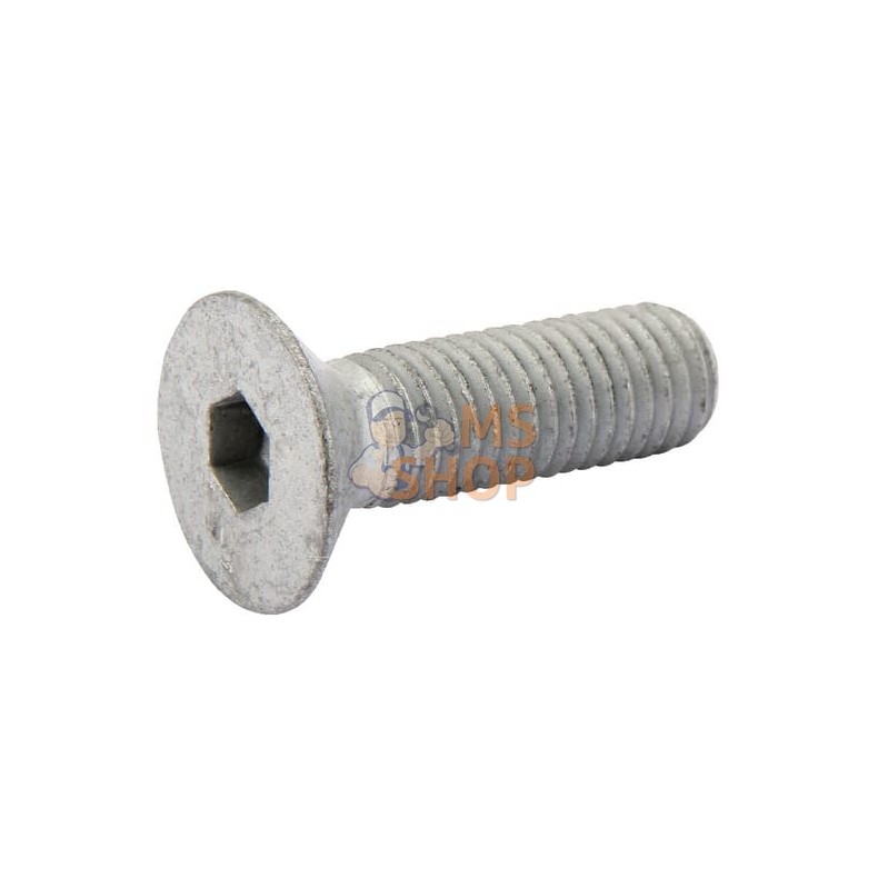 Vis noyee din 7991 M 12X40 10. | LEMKEN Vis noyee din 7991 M 12X40 10. | LEMKENPR#612766
