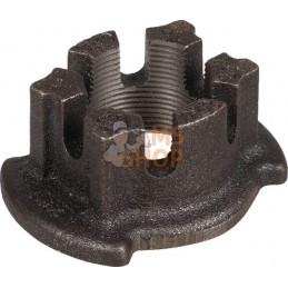Ecrou crénelé M42x2 DIN937 | LEMKEN Ecrou crénelé M42x2 DIN937 | LEMKENPR#612844