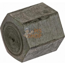 Écrou borgne M16x1,5x25,5 zinc | LEMKEN Écrou borgne M16x1,5x25,5 zinc | LEMKENPR#612883
