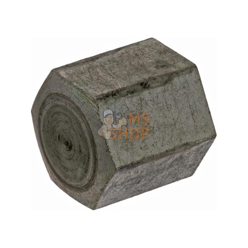 Écrou borgne M16x1,5x25,5 zinc | LEMKEN Écrou borgne M16x1,5x25,5 zinc | LEMKENPR#612883