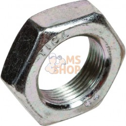 Écrou hexagonal BM24x1,5 Zn DI | LEMKEN Écrou hexagonal BM24x1,5 Zn DI | LEMKENPR#612866