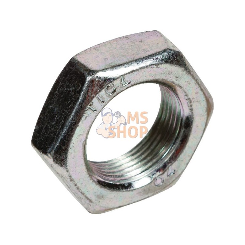 Écrou hexagonal BM24x1,5 Zn DI | LEMKEN Écrou hexagonal BM24x1,5 Zn DI | LEMKENPR#612866