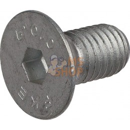Vis à tête fraisée M10x20-10.9 | LEMKEN Vis à tête fraisée M10x20-10.9 | LEMKENPR#612761