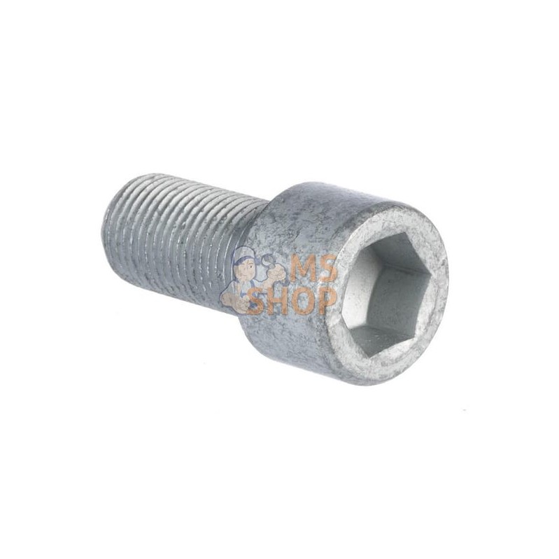Vis six p. cr. M16x1,5x32-10,9 | LEMKEN Vis six p. cr. M16x1,5x32-10,9 | LEMKENPR#612757