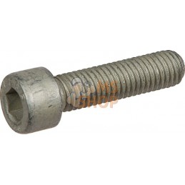 Vis à tête cylindr. M10x40-8.8 | LEMKEN Vis à tête cylindr. M10x40-8.8 | LEMKENPR#612755