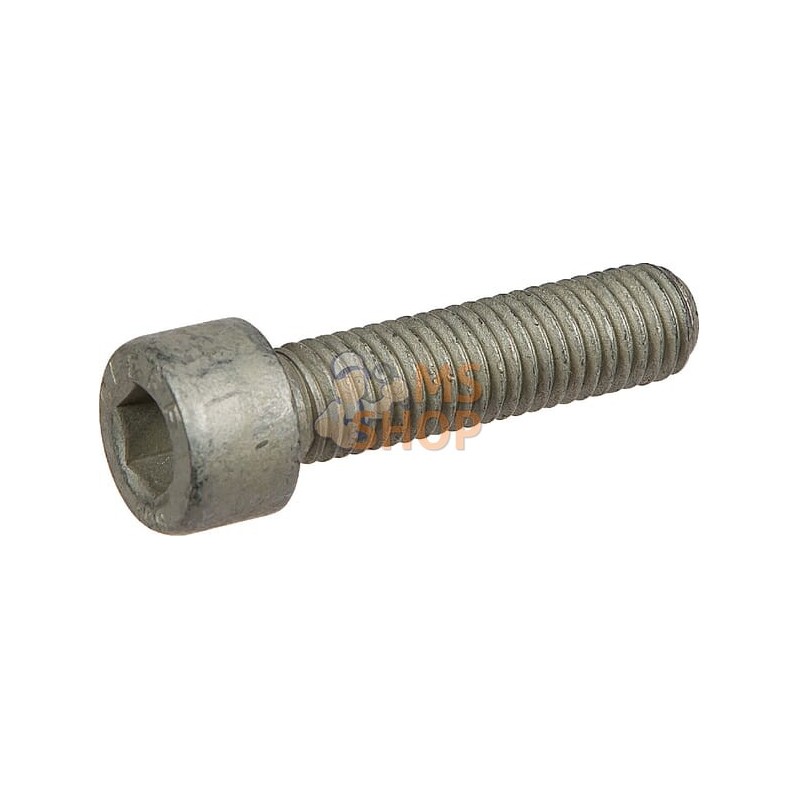 Vis à tête cylindr. M10x40-8.8 | LEMKEN Vis à tête cylindr. M10x40-8.8 | LEMKENPR#612755