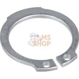 Circlips A 25x2,0 DIN471 ZN | LEMKEN Circlips A 25x2,0 DIN471 ZN | LEMKENPR#612944