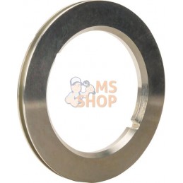 Rondel étanch D179,5/120x12 Zn | LEMKEN Rondel étanch D179,5/120x12 Zn | LEMKENPR#613032