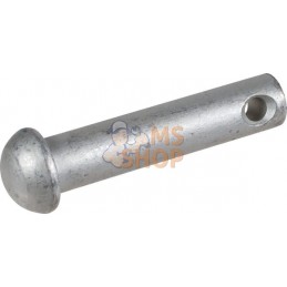 Rivet 12x55 | LEMKEN Rivet 12x55 | LEMKENPR#722378