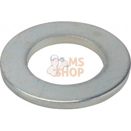 Rondelle 21 ISO7089 ZN | LEMKEN Rondelle 21 ISO7089 ZN | LEMKENPR#612915